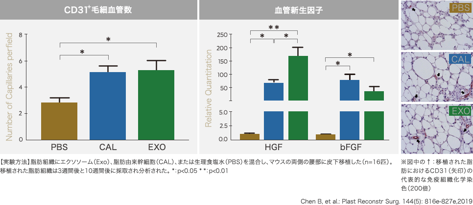 エクソソームの血管新生作用