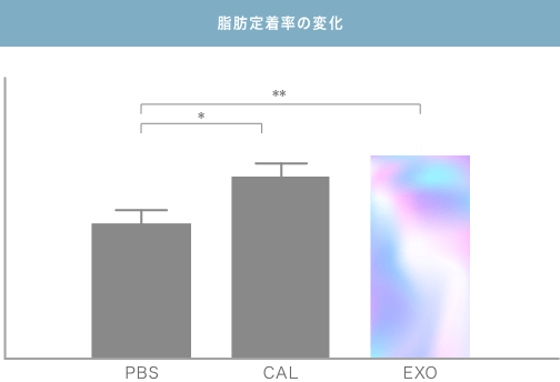 脂肪定着率の変化
