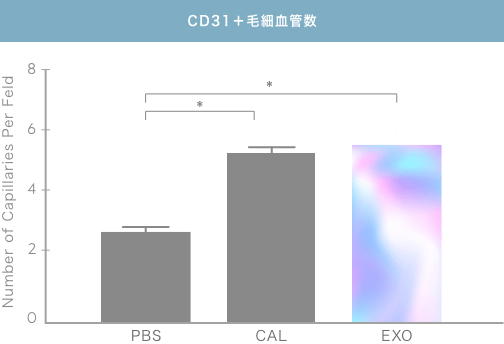 CD31＋毛細血管数