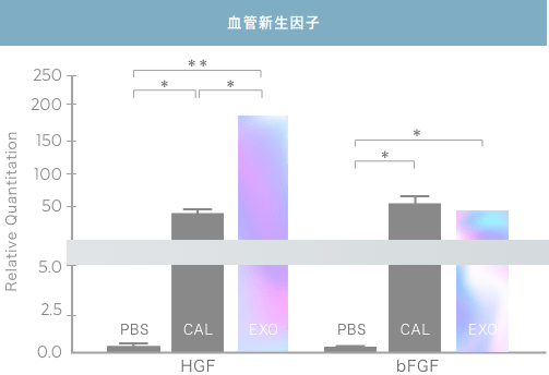 血管新生因子