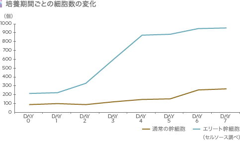 培養期間ごとの細胞数の変化