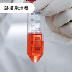 幹細胞培養