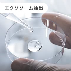 エクソソーム抽出